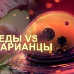 Безумные факты 27.07.2025