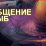 Безумные факты 11.07.2025