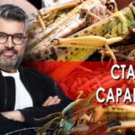 Знаете ли вы, что? 12.07.2025