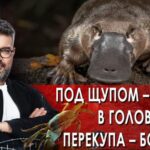 Знаете ли вы, что 27.07.2025