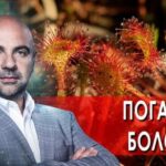 Как устроен мир с Тимофеем Баженовым 28.07.2025