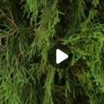 Самая народная программа 06.07.2025