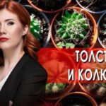 Тайны Чапман 12.07.2025