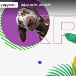 В кругу друзей 24.08.2025