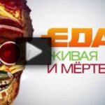Живая еда 02.08.2025