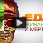 Живая еда 23.08.2025