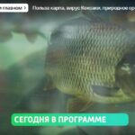 О самом главном 26.08.2025
