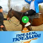 Поедем поедим 23.08.2025