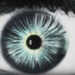Самые шокирующие гипотезы 28.08.2025