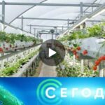 Сегодня - Выпуск новостей в 8:00 (16 Января 2026)