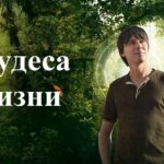 Чудеса жизни